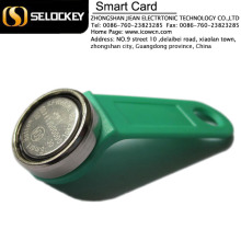 compatible with DS1990A-F5 magnetic ibutton card key free sample(TM1990A)