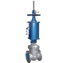 Pneumatic Actuated Gate Valve