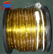 45m Steady 2 Wires Neon LED Rope Light