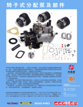 China-Lutong Spare Parts for DPA Injection Pumps