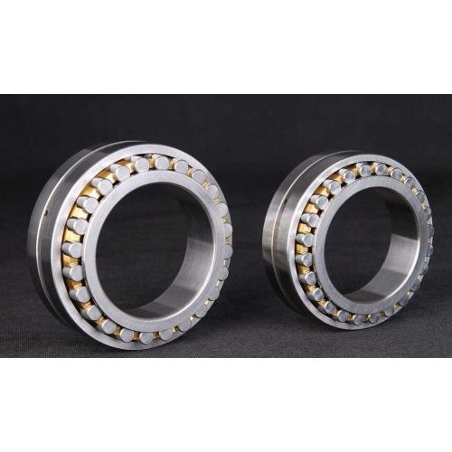 Double Row Cylindrical Roller Bearing (NN3052K/W33)