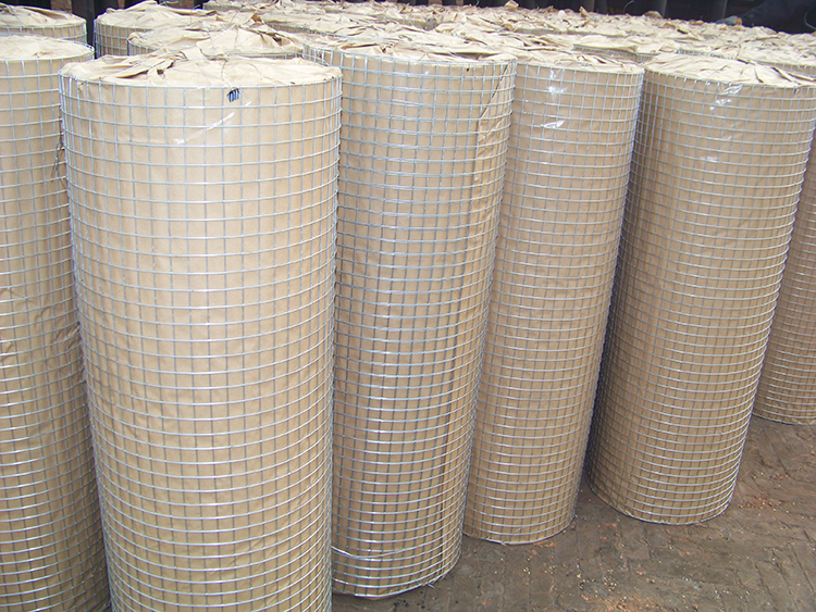 Welded Wire Mesh