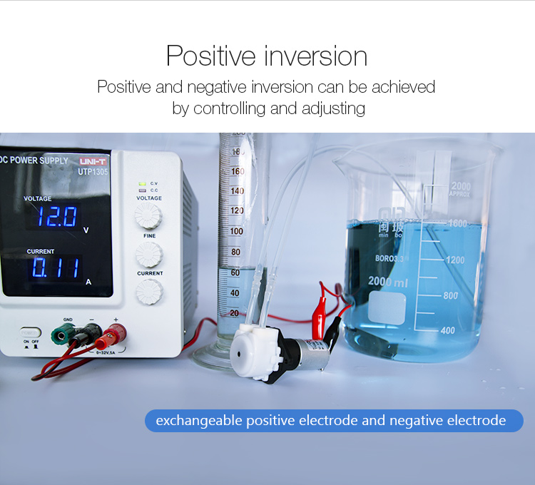 YW01-GDC-12V/24V GDC motor peristaltic water pump food medicine print usage
