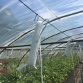 Skyplant Agricultural Tomato Hook with Twine