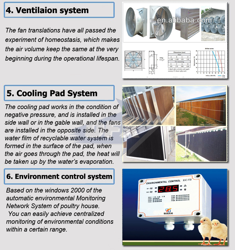 Qingdao modular steel structure full automatic poultry H cage layer chickens building