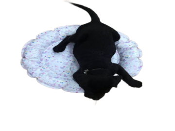 Pet self-cooling breathable circular cooling ice pad