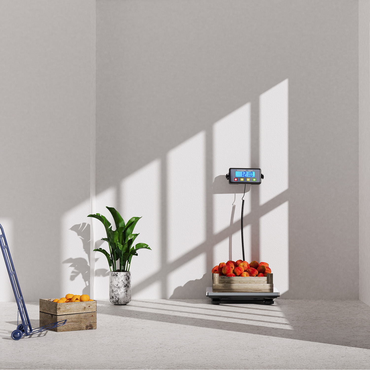 SF-887 platform postal scale checkweigher weight balance