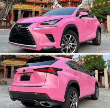 Car vinyl cleaner/protectant cream