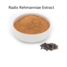 Buy online active ingredients Radix Rehmanniae Extract