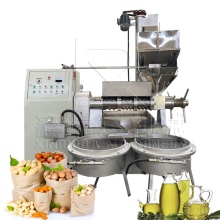 Economical Oil Press Machine for Sunflower, Soybean, and Palm Oils