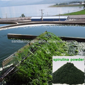 Spirulina Type and Powder Dosage Form Direct factory food grade spirulina powder