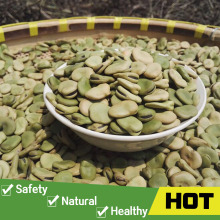 Bulk broad beans fava beans price