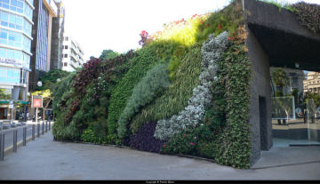 NEW artificial plant wall vertical plant wall home interior plant wall