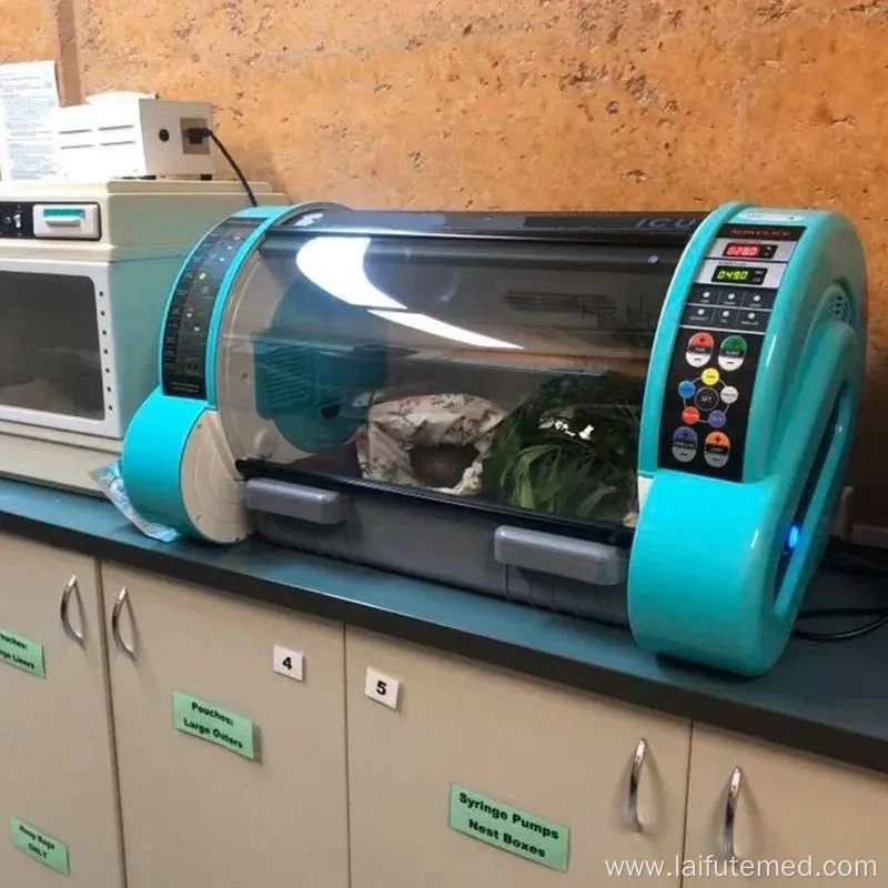 Portable Pet ICU Incubator with Oxygen Concentrator