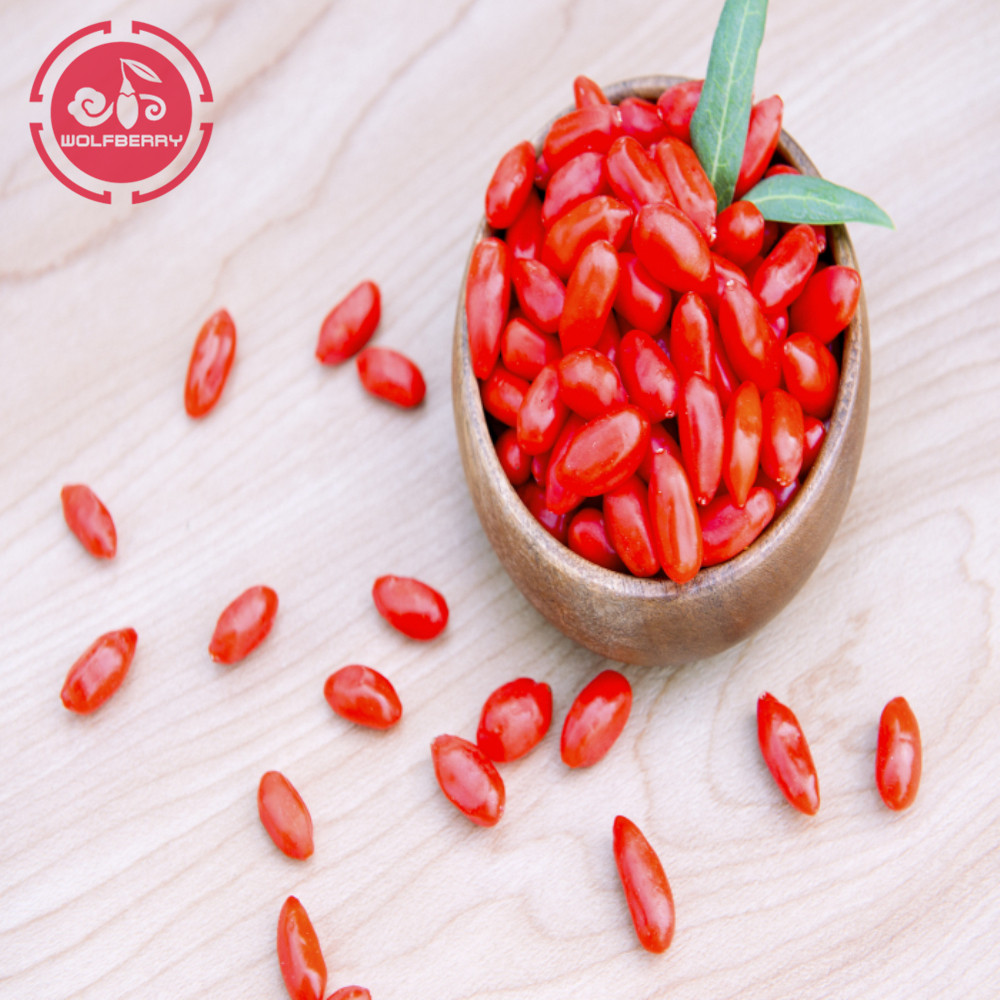 Goji-Beere / Wolfberry / hohe Nahrung goji Beere