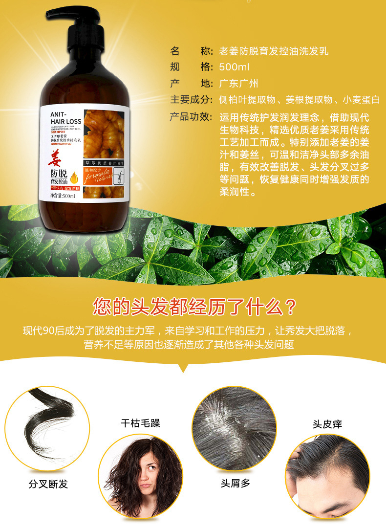 Hot seller 500ml Ginger Scalp Care Shampoo for Anti Hair Loss, Anti Dandruff Hair Regrowth,custom shampoo