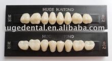 KAITONG Posterior 30M false teeth SYNTHETIC POLYMER PMMA