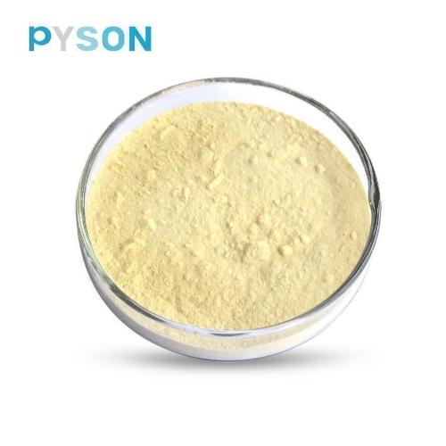 Ginseng Leaf & Stem extract HPLC 30%