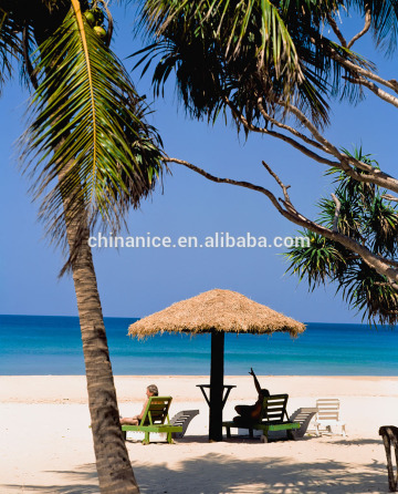 Thatched Roof Gazebo with simulated straw leaf