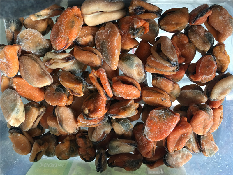 mrożone zielone odmiany mięso małży o cenie fabrycznej