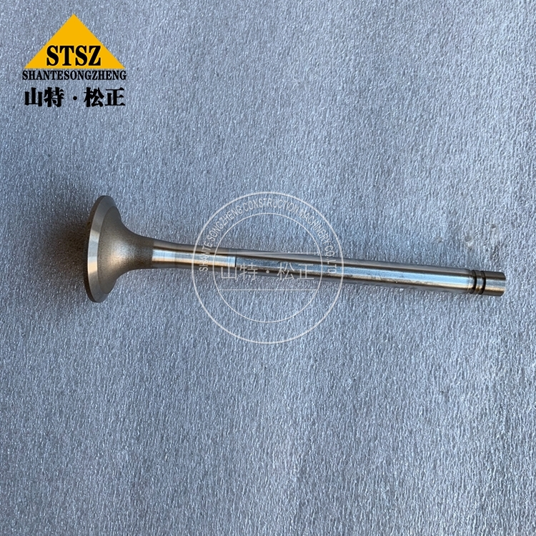 3803524 4 Jpg 3803524 4 Jpg