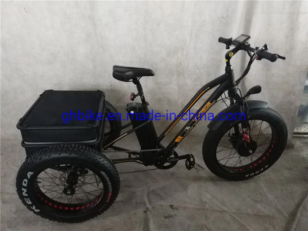 750W Adult 3 Three Wheels Cargo Bike Electric Fat Tricycle