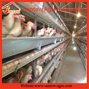 6 floors chicken cages poultry cages layer poultry cages for nigeria/africa