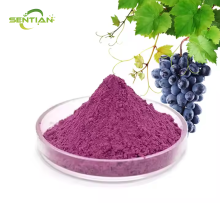 Organic Blueberry Powder Blueberry Fruit Powder