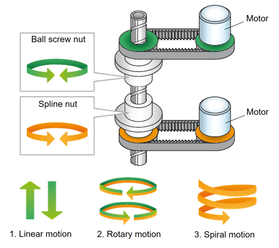 ballscrew spline
