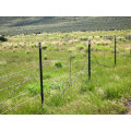 Valla de caballo de alambre de acero galvanizado Mesh / Farm Fence