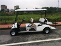 Carrello da golf elettrico per Golf Club