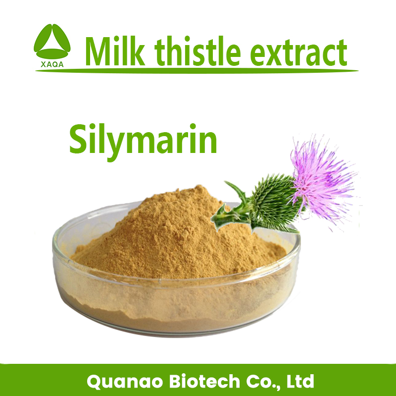 Mariendistel-Extrakt-Pulver Silymarin 80% Silibinin 30%