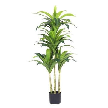 Artificial Dracaena Fragrans Plant for Indoor/Outdoor Decoration