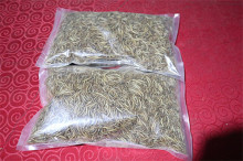 Aquarium Fish Food Feeding