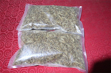 Aquarium Fish Food Feeding