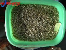 BRASS SOLDER RINGS MANUFACTURER