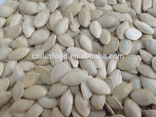 Snow white pumpkin seeds