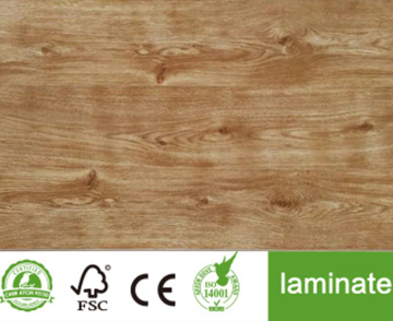 Laminate Floor in Bathroom