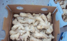 Natural Air Dried Ginger