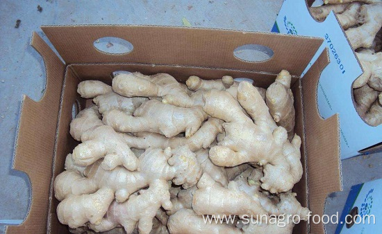 Natural Air Dried Ginger