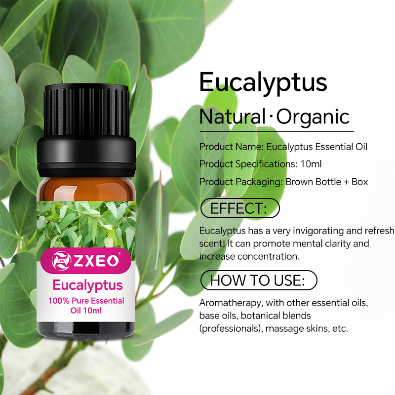 Daraja la kwanza la Eucalyptus Mafuta Muhimu ya Mafuta ya Eucalyptus Globulus kwa Mafuta ya Massage ya Aromatherapy