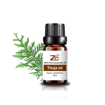 Thuja Essential Oil pure essential oil