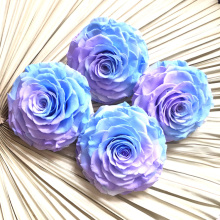 Everlasting Flowers Ecuador Huge Big Preserved Rose - Black Roses Bud for Valentine's Day Gift