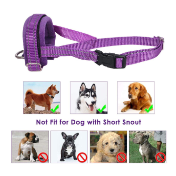 Chien Muzzles pour chien de taille moyenne