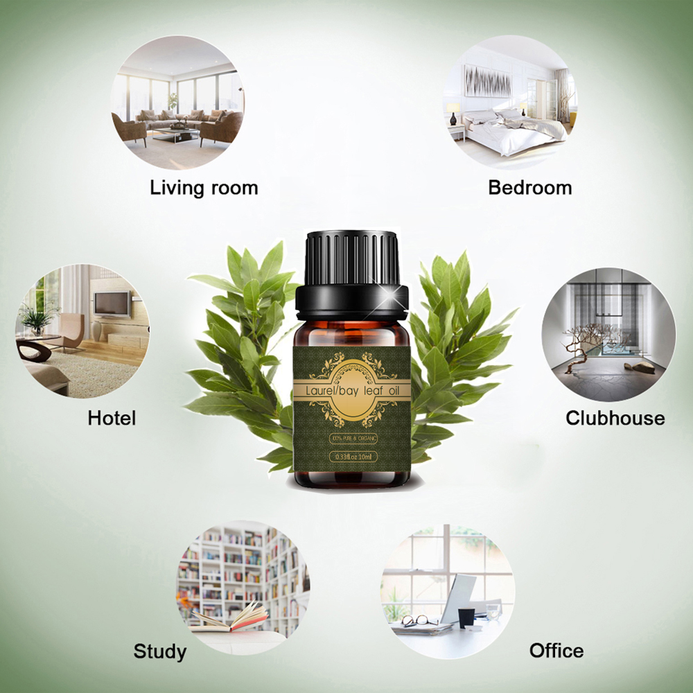 Bay leaf oil natural laurel essential oil bulk