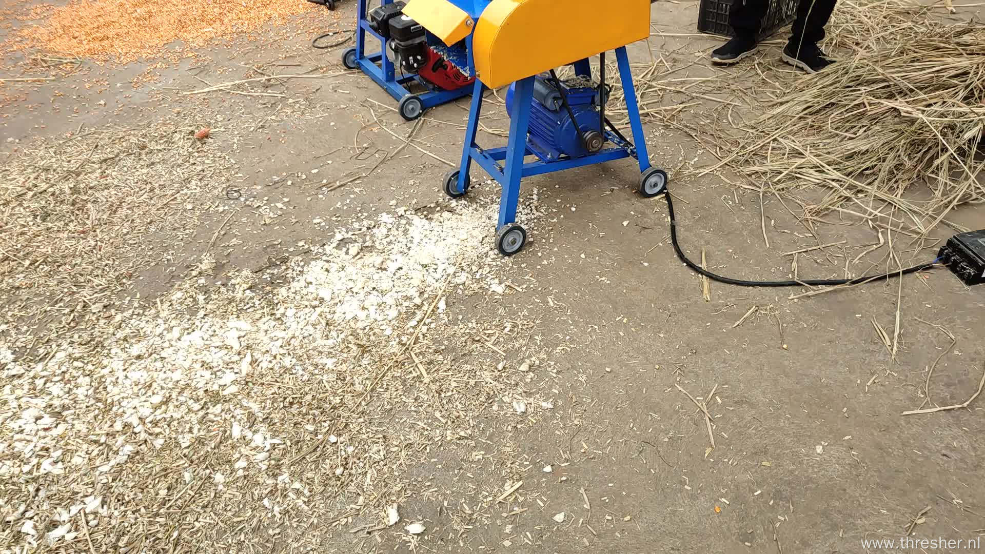 3HP Hopper Chaff Cutter Machine Support Fruit