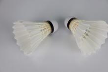 OEM Cheap Cigu Duck Feather Badminton Shuttlecocks