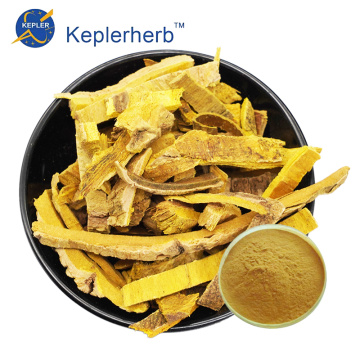 Phellodendron Chinense Extract Powder