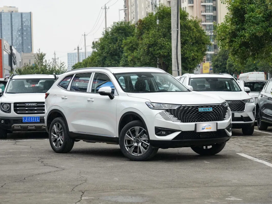 2022 High Quality SUV New Energy Vehicles Great Wall Haval H6 Sports Car Electric Cars for Sale
