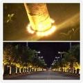 SYA-619-7 Modern Street Decoration 48 Вт